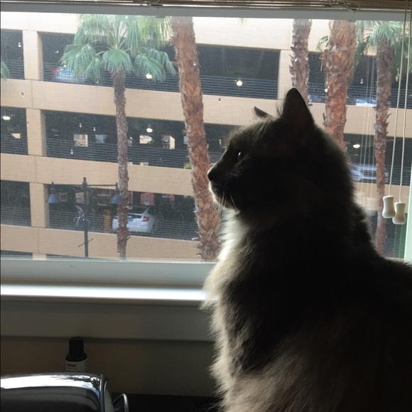 Meet your posher, Rayna 🙂 - Picture 7 of 7